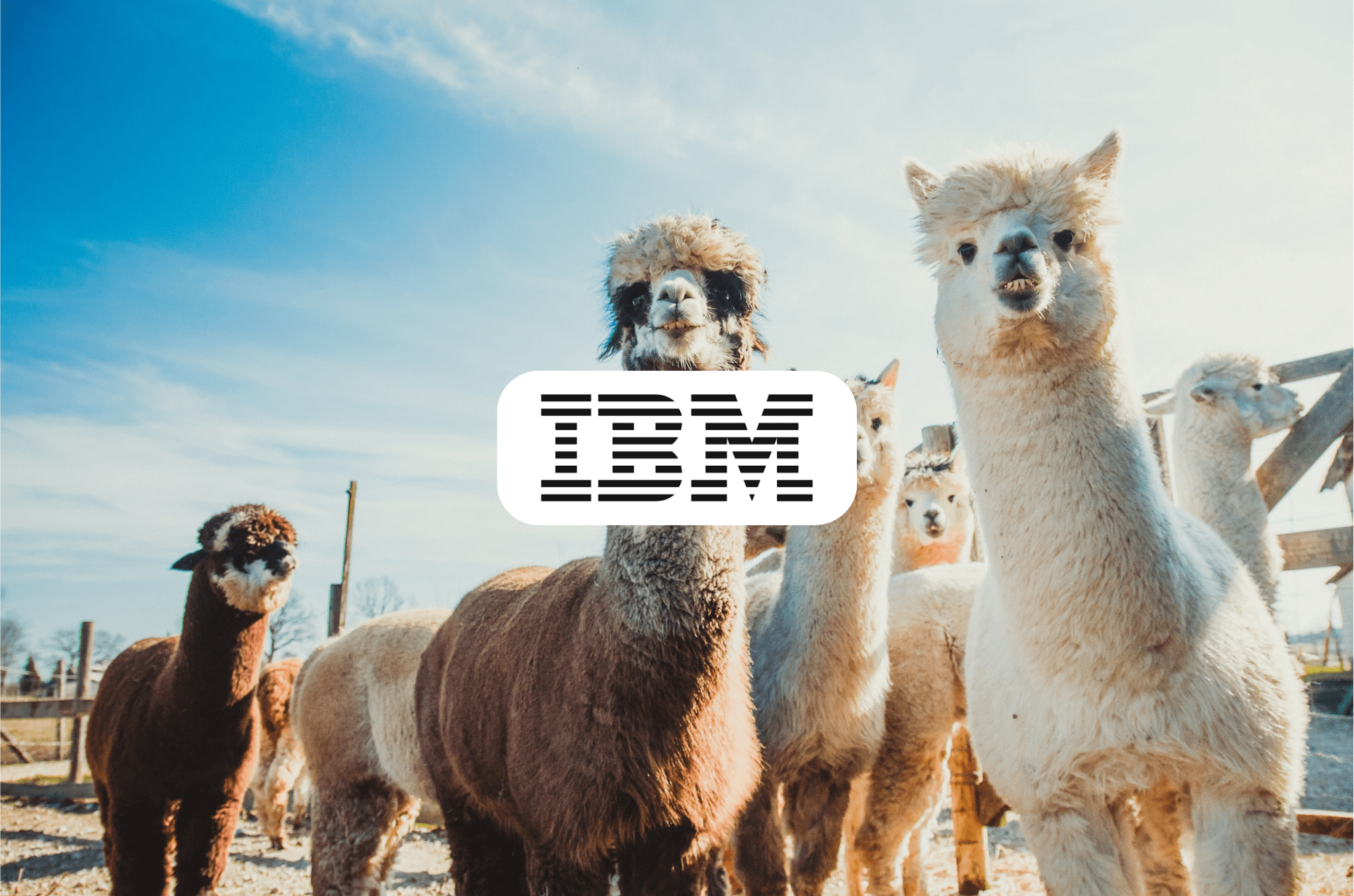 Ibm To Add Llama To Its Ai And Data Platform Watsonx Cx Scoop