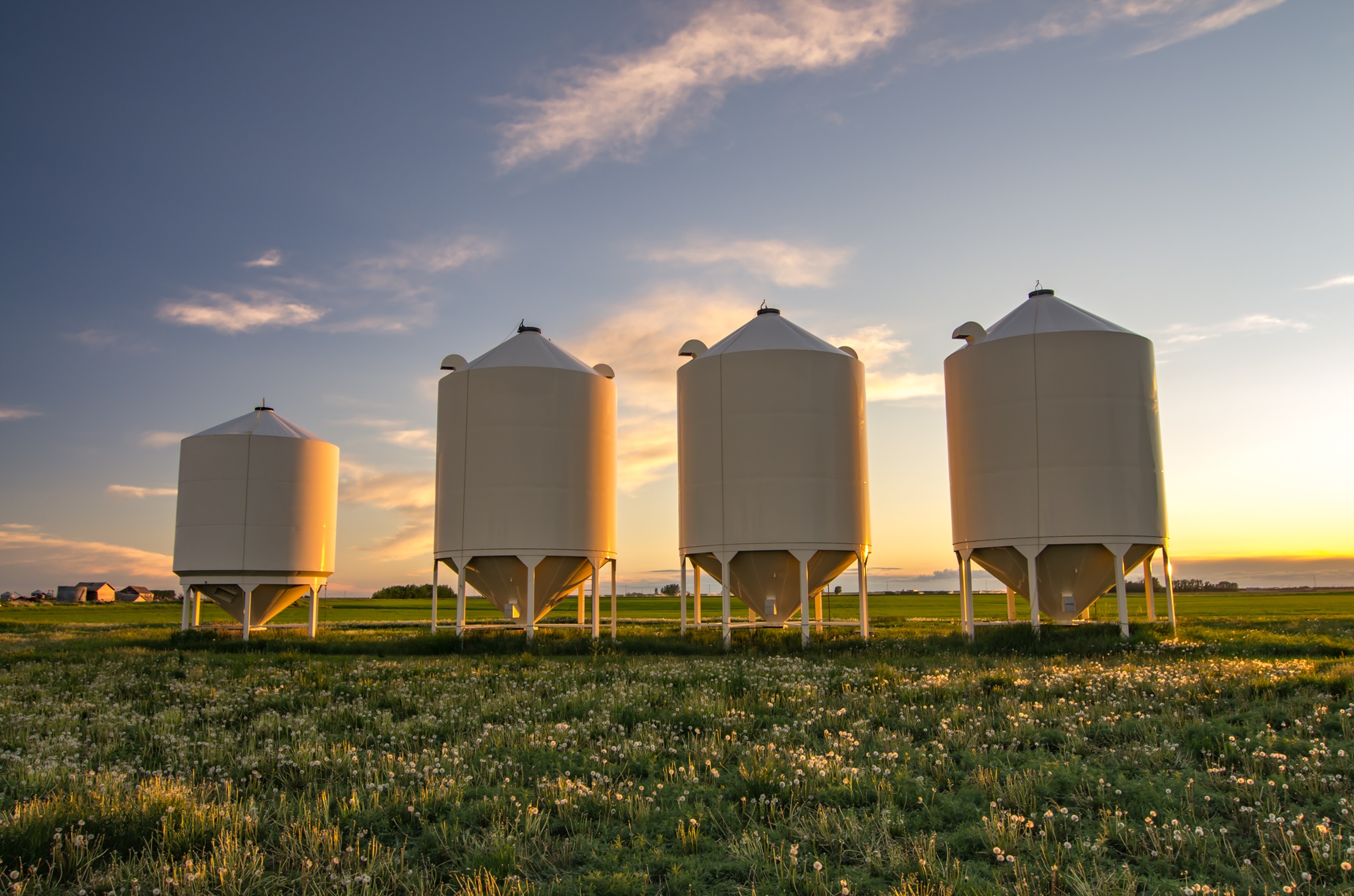 Silo дата